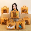 Sẵn chăn gấp gọn 2 trong 1 hình Capybara hoạ tiết, màu đẹp, thích hợp đi học, làm, du lịch 159.000đ 2