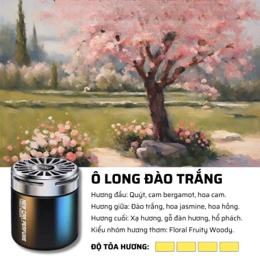 Sáp Thơm Khử Mùi Ô Tô Hương Thơm Dễ Chịu Chống Say Xe Thư Giãn Giá 45.500₫ 8