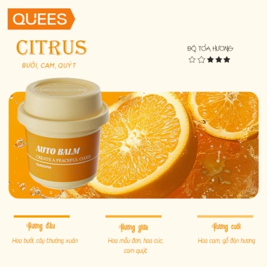 Sap thơm ô tô tự nhiên cao cấp Quees 2.025 - Hương nhẹ sang trọng, khử mùi và chống say xe - Giá ưu đãi 199.000đ 3