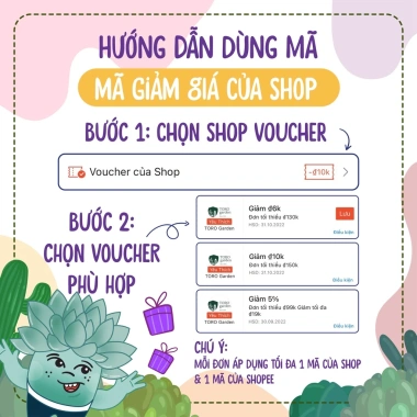 Sen đá mini Đà Lạt 30 loại - Tặng 20 lá mầm - Cây cảnh trang trí nhà Toro Garden