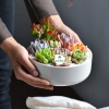 Sen đá Ống Điếu Size Thuần Khí Hậu - Mini để bàn, Siêu Khỏe, Trang Trí Phòng SD 5