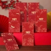 Set 10 Bao Lì Xì Tết Gấm Hoa Hàng Thiết Kế Cán Mờ Sang Trọng, Chỉ 17.900 VNĐ