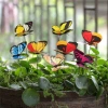 Set 10 Bướm Nhân Tạo 3D 7cm Trang Trí Sân Vườn Cắm Lọ Hoa Que, Giá 45.000₫ 2