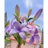 Set 10 Cành hoa mai, hoa đào, hướng dương kẽm nhung - Trang trí Tết giá ưu đãi 28.900₫ 6