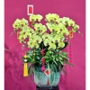 Set 10 dây pháo tre trang trí Tết - Đồ trang hoàng lễ hội, giảm 20% chỉ 95.000₫ 3