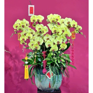 Set 10 dây pháo tre trang trí Tết - Đồ trang hoàng lễ hội, giảm 20% chỉ 95.000₫