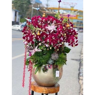 Set 10 dây pháo tre trang trí Tết - Đồ trang hoàng lễ hội, giảm 20% chỉ 95.000₫