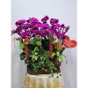 Set 10 dây pháo tre trang trí Tết - Đồ trang hoàng lễ hội, giảm 20% chỉ 95.000₫ 7