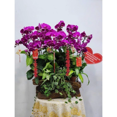Set 10 dây pháo tre trang trí Tết - Đồ trang hoàng lễ hội, giảm 20% chỉ 95.000₫