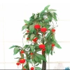 Set 25 đèn lồng mini treo cây cảnh Tết - Nhung đỏ, trang trí cây đào, quất, mai, giảm giá 55k 5