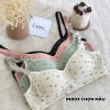 Set 3 áo lót bra nữ gân tăm HENISA – ôm form mỏng nhẹ hoa lá cute – 28.489₫ 8