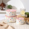 Sét 3 hộp cơm sứ cao cấp họa tiết hoạt hình dễ thương - Giá ưu đãi 155.000₫ 9
