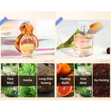 Set 4 chai nước hoa nữ Angel Elves 30ml - Hộp quà tặng thơm lâu, giảm giá 183k 3 Set 4 chai nước hoa nữ Angel Elves 30ml - Hộp quà tặng thơm lâu, giảm giá 183k 3