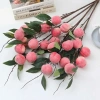 Set 5 Cành Lựu 7 Quả Hồng Vuông Đào Tiên Quất Táo Giả Cắm Bình Decor Tết 2.026 Giá 49k