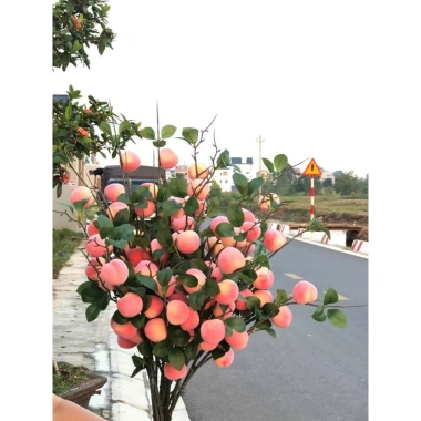 Set 5 Cành Lựu 7 Quả Hồng Vuông Đào Tiên Quất Táo Giả Cắm Bình Decor Tết 2.026 Giá 49k