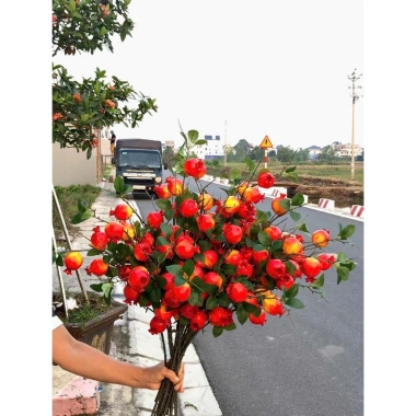 Set 5 Cành Lựu 7 Quả Hồng Vuông Đào Tiên Quất Táo Giả Cắm Bình Decor Tết 2.026 Giá 49k