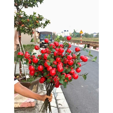 Set 5 Cành Lựu 7 Quả Hồng Vuông Đào Tiên Quất Táo Giả Cắm Bình Decor Tết 2.026 Giá 49k