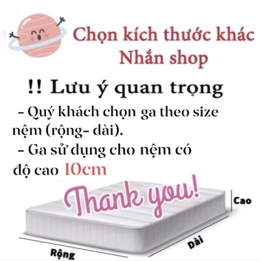 Set 5 món Chăn Phao Trần bông dày kèm Ga & Vỏ Gối cotton poly - Đa màu, mềm, giá 190k