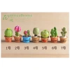 Set 7 chậu cây xương rồng mini trang trí taplo ô tô Decor Luxcar giá rẻ 3