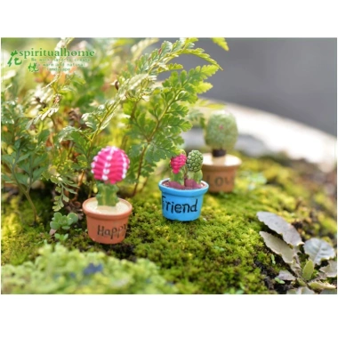 Set 7 chậu cây xương rồng mini trang trí taplo ô tô Decor Luxcar giá rẻ