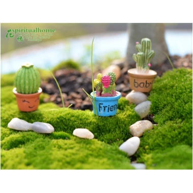 Set 7 chậu cây xương rồng mini trang trí taplo ô tô Decor Luxcar giá rẻ 6 Set 7 chậu cây xương rồng mini trang trí taplo ô tô Decor Luxcar giá rẻ 6