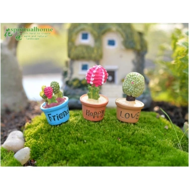 Set 7 chậu cây xương rồng mini trang trí taplo ô tô Decor Luxcar giá rẻ