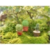 Set 7 chậu cây xương rồng mini trang trí taplo ô tô Decor Luxcar giá rẻ 8