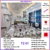 Set bóng bay trang trí phòng cưới tân hôn màu bạc, balloons bi ti - Giá 258.000₫ 8