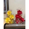 Set Đồ Trang Trí Tháp Bánh - Phụ Kiện Lộc Tài, Tặng Keo Nến và Đế, Rước May Mắn Dịp Tết 36.200