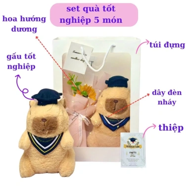 Sét quà ST1 gấu bông dễ thươn trong túi - gấu, hoa, túi, đèn, thiệp - quà tặng tốt nghiệp 89k