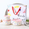 Set quà tặng 3 bát sứ cao cấp Nơ Capybara Mèo có nắp hút chân không phù hợp sinh nhật giảm giá 155k 7
