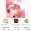 Set quà tặng 3 chai nước hoa nữ Ms' Beautiful thơm lâu, quyến rũ - Giá chỉ 85.000đ 4