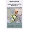 Set Quà Tặng BINNIS Hoa Lụa & Tinh Dầu - Quà Sinh Nhật, Tốt Nghiệp, Bạn Bè 125k 6