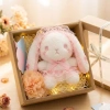Set Quà Tặng Gấu Bông Hộp Giấy Kraft Mặt Kính - Giá 120.000, Quà Sinh Nhật Valentine Bé và Bạn Gái 5