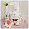 Set quà tặng sinh nhật, Valentine, Noel - Gấu bông 10xTimes, chỉ 99.000đ 5