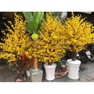 Sỉ Combo 10 Cành Hoa Mai & Hoa Đào - Trang Trí Cây Hàng Đẹp 5 Nhánh, Giá 120k 6 Sỉ Combo 10 Cành Hoa Mai & Hoa Đào - Trang Trí Cây Hàng Đẹp 5 Nhánh, Giá 120k 6