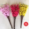 Sỉ Combo 10 Cành Hoa Mai & Hoa Đào - Trang Trí Cây Hàng Đẹp 5 Nhánh, Giá 120k 7