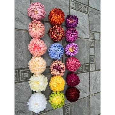 Sỉ đầu bông hoa cúc đại đoá 16cm cúc mẫu đơn, cúc tăm, hoa lụa trang trí 18.000đ 8