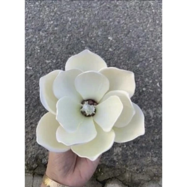 Sỉ đầu bông hoa móc lan xốp cao cấp sz to - Trang trí tài lộc, giỏ quà, handmade giá 20.000₫ 7 Sỉ đầu bông hoa móc lan xốp cao cấp sz to - Trang trí tài lộc, giỏ quà, handmade giá 20.000₫ 7