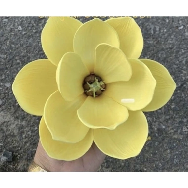 Sỉ đầu bông hoa móc lan xốp cao cấp sz to - Trang trí tài lộc, giỏ quà, handmade giá 20.000₫