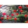 Sỉ Túi 30/20/10 quả cầu đỏ nhung treo tết – phụ kiện trang trí cây mai, đào Bính Ngọ 2.026, giá 21.000đ 4