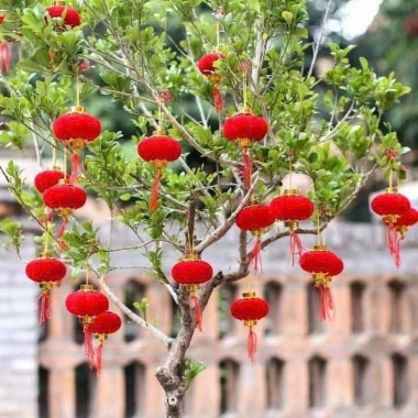 Sỉ Túi 30/20/10 quả cầu đỏ nhung treo tết – phụ kiện trang trí cây mai, đào Bính Ngọ 2.026, giá 21.000đ