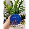 Socola Majesty 165g hộp sắt tròn - Hương vị đậm đà, giảm 21% chỉ 36.500đ 6