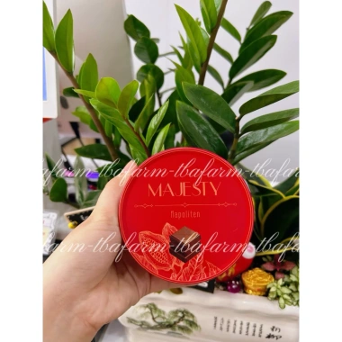 Socola Majesty 165g hộp sắt tròn - Hương vị đậm đà, giảm 21% chỉ 36.500đ 7