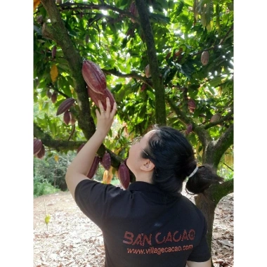 Socola Sữa Cao Cấp Bản Cacao - Socola Việt Nam, Milk Chocolate 185.000₫ 7