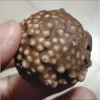 Socola tươi Truffle hảo hạng – Giá chỉ 65.000₫, vị thơm ngon, mềm mịn, quà tặng 8