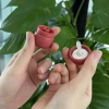 Son kem Novo siêu mịn nắp hình nấm - màu cực chuẩn, ảnh thật, giá chỉ 35.000₫ 4