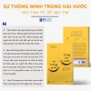 Sự Thông Minh Trong Hài Hước - Kỹ Năng Giao Tiếp Đỉnh Cao Để Thành Công, Bứt Phá Sự Nghiệp 5