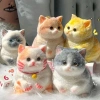 Taba Mũm Mĩm Cam Sang Trọng - Trang Trí Thú Cưng & Quà Sinh Nhật Trẻ Em 81.620₫ 7