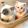Taba Mũm Mĩm Cam Sang Trọng - Trang Trí Thú Cưng & Quà Sinh Nhật Trẻ Em 81.620₫ 9
